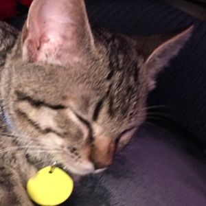 Meet your Posher, Madison